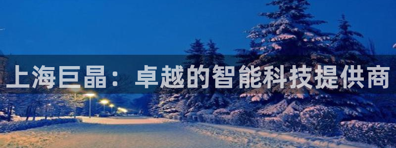 天宏娱乐招商：上海巨晶：卓越的智能科技提供商