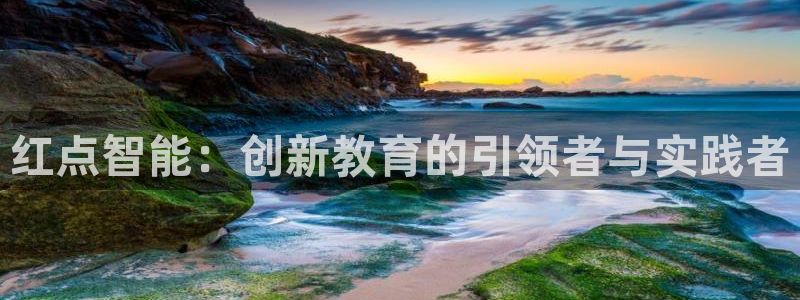 天亿娱乐宏发团队招聘：红点智能：创新教育的引领者与实践者