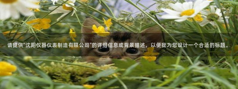 天宏娱乐王叔：请提供\