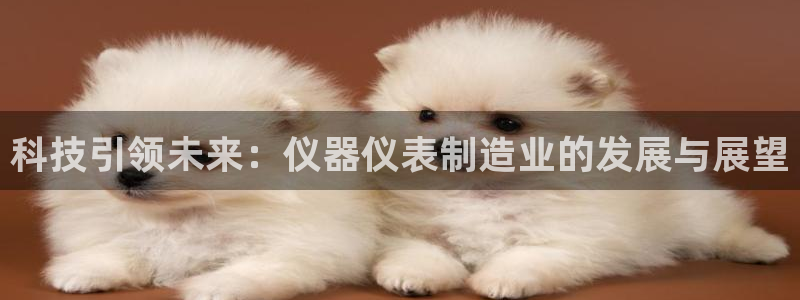 天宏娱乐为什么被骂：科技引领未来：仪器仪表制造业的发展与展望