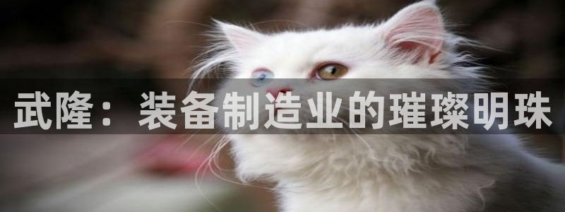 天宏娱乐玉海娱乐：武隆：装备制造业的璀璨明珠