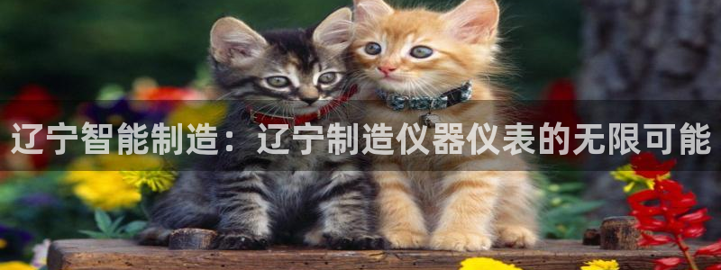 西安天宏娱乐团队招聘：辽宁智能制造：辽宁制造仪器仪表的无限可