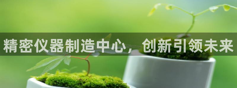 天宏娱乐k 判官：精密仪器制造中心，创新引领未来