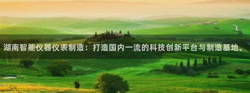天宏娱乐吴叔：湖南智能仪器仪表制造：打造国内一流的科技创新平