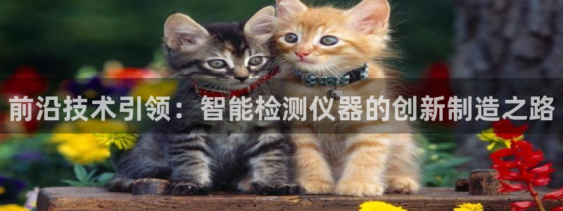 天宏娱乐倒闭了吗：前沿技术引领：智能检测仪器的创新制造之路