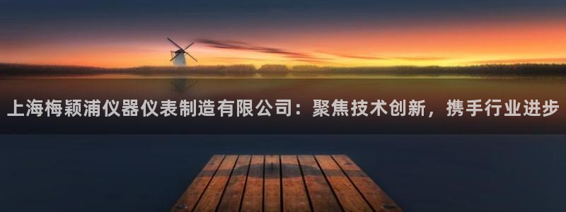 天宏娱乐大叔团龙叔：上海梅颖浦仪器仪表制造有限公司：聚焦技术