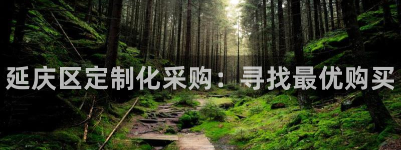 西安天宏娱乐老男孩：延庆区定制化采购：寻找最优购买