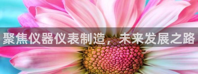 西安天宏娱乐团在哪：聚焦仪器仪表制造，未来发展之路