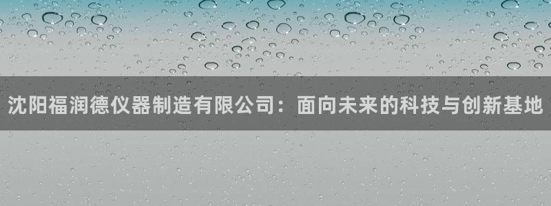 天宏娱乐app的下载：沈阳福润德仪器制造有限公司：面向未来的