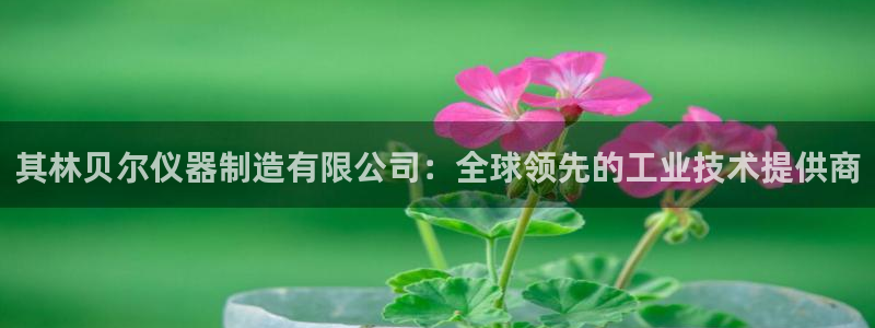 天宏3娱乐注册：其林贝尔仪器制造有限公司：全球领先的工业技术
