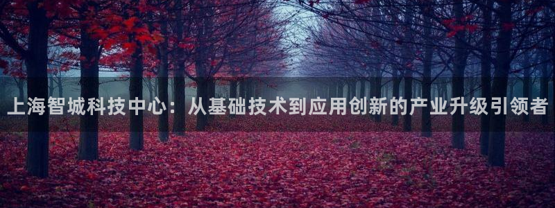 宏天皓星娱乐：上海智城科技中心：从基础技术到应用创新的产业升