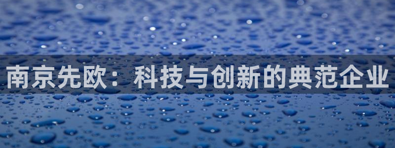 天宏娱乐平台登陆：南京先欧：科技与创新的典范企业