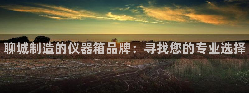 天宏娱乐直播在线观看高清：聊城制造的仪器箱品牌：寻找您的专业