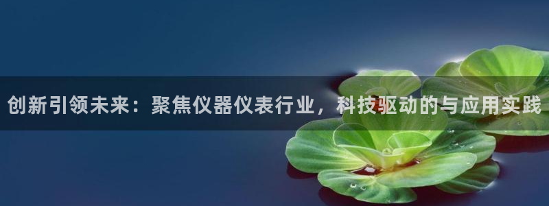 天宏娱乐app 下载：创新引领未来：聚焦仪器仪表行业，科技驱