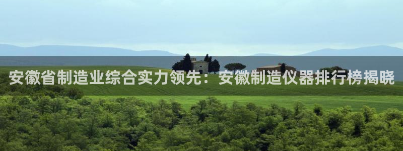 天宏娱乐梁善良：安徽省制造业综合实力领先：安徽制造仪器排行榜