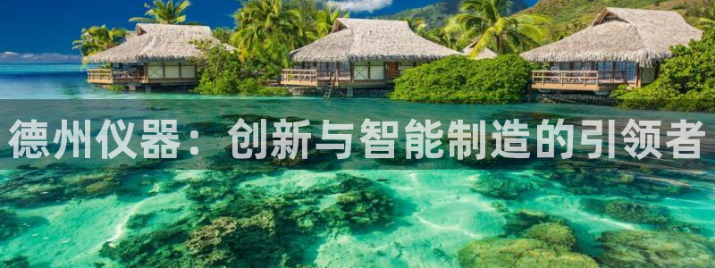 天宏娱乐涛叔：德州仪器：创新与智能制造的引领者