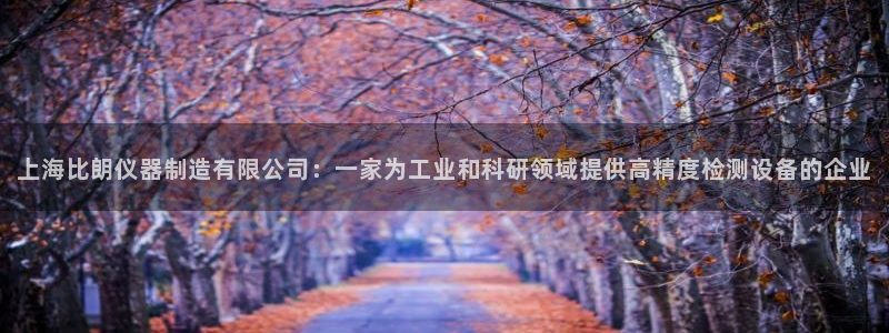 天宏娱乐是干嘛的啊：上海比朗仪器制造有限公司：一家为工业和科