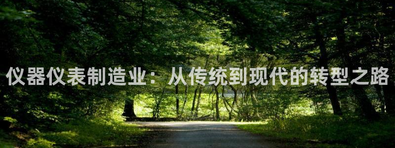 天宏娱乐梁善良：仪器仪表制造业：从传统到现代的转型之路