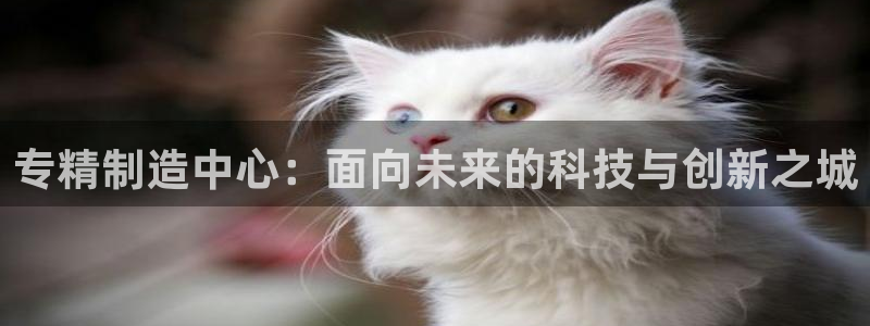 天宏娱乐彬彬叔：专精制造中心：面向未来的科技与创新之城