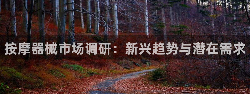 天宏娱乐注册：按摩器械市场调研：新兴趋势与潜在需求