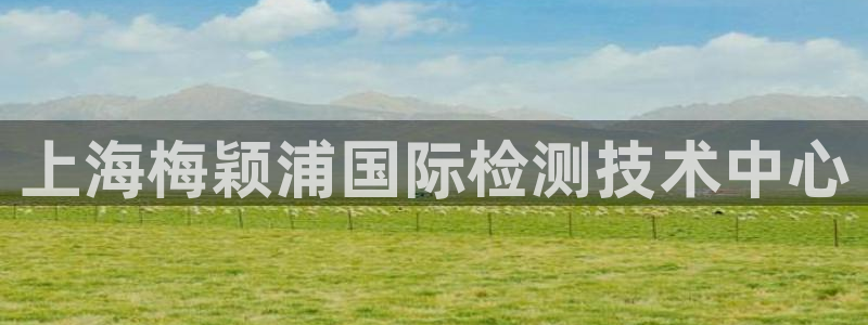 天宏娱乐宝：上海梅颖浦国际检测技术中心