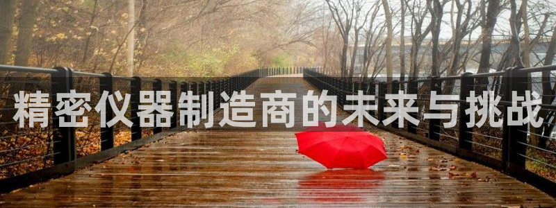 天宏娱乐宝叔：精密仪器制造商的未来与挑战