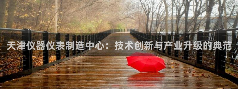 天宏3娱乐：天津仪器仪表制造中心：技术创新与产业升级的典范