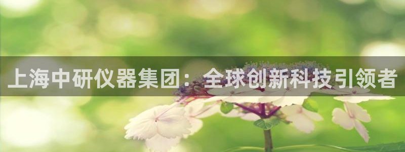 天宏娱乐吴叔：上海中研仪器集团：全球创新科技引领者