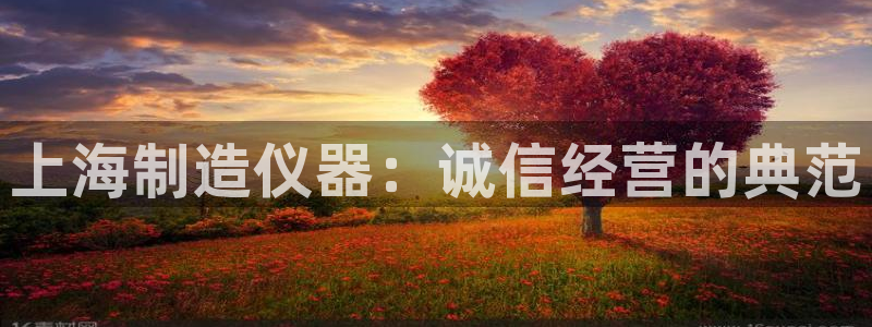 天宏娱乐是什么公司：上海制造仪器：诚信经营的典范