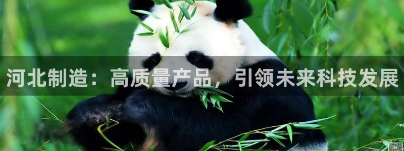 天宏娱乐小号官网：河北制造：高质量产品，引领未来科技发展