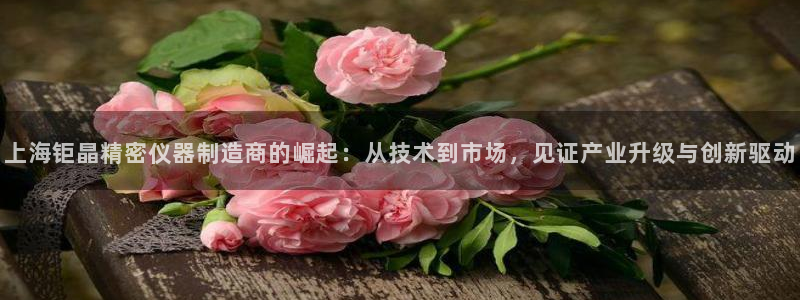 天宏娱乐关先生：上海钜晶精密仪器制造商的崛起：从技术到市场，