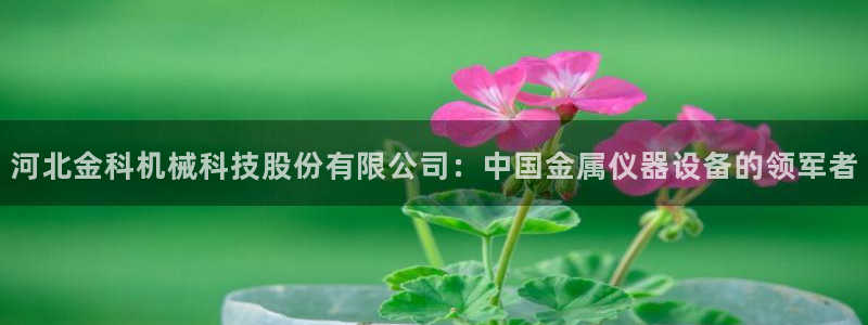 河源天宏娱乐店：河北金科机械科技股份有限公司：中国金属仪器设