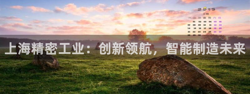 天宏娱乐直播间官网：上海精密工业：创新领航，智能制造未来