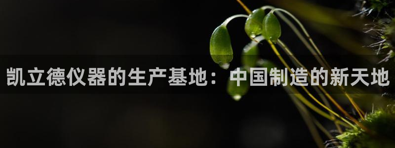 天宏娱乐河源店在哪里：凯立德仪器的生产基地：中国制造的新天地
