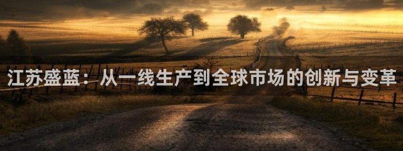 天宏娱乐朱俊伟：江苏盛蓝：从一线生产到全球市场的创新与变革