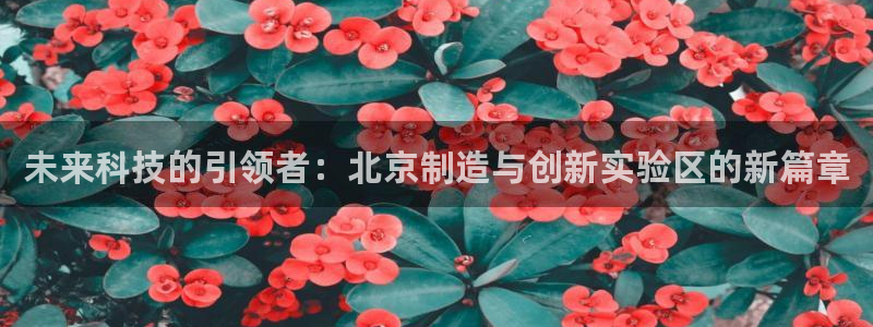 天宏娱乐福叔：未来科技的引领者：北京制造与创新实验区的新篇章