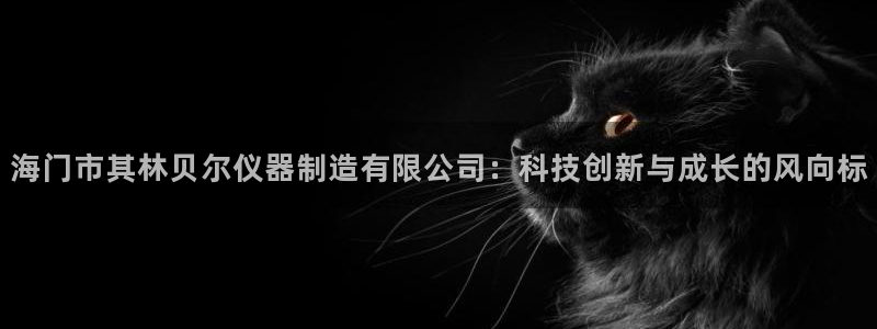 天宏娱乐河源：海门市其林贝尔仪器制造有限公司：科技创新与成长