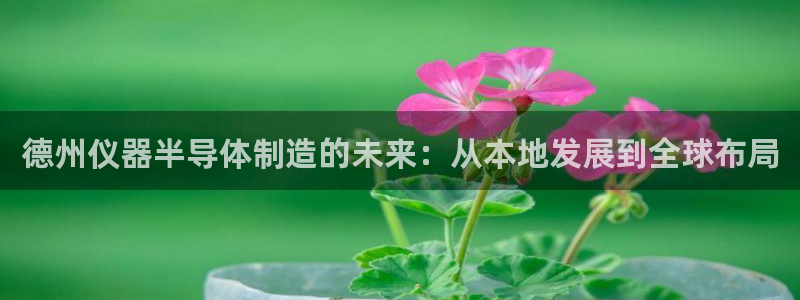 天亿娱乐宏发团队成员：德州仪器半导体制造的未来：从本地发展到