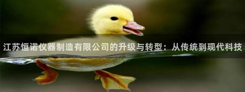 天宏娱乐招商主管：江苏恒诺仪器制造有限公司的升级与转型：从传