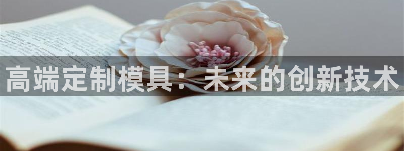 天宏娱乐直播在线观看：高端定制模具：未来的创新技术