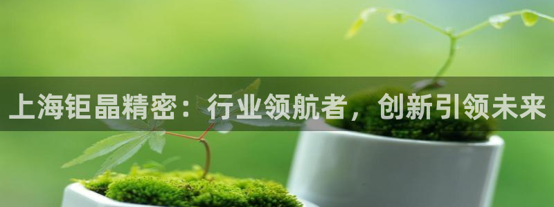 天宏娱乐直播在线观看：上海钜晶精密：行业领航者，创新引领未来