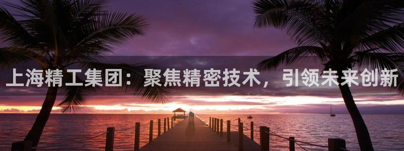 西安天宏娱乐直播间：上海精工集团：聚焦精密技术，引领未来创新