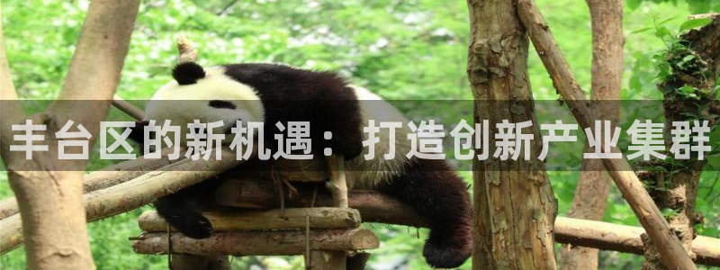 天宏娱乐老秦：丰台区的新机遇：打造创新产业集群