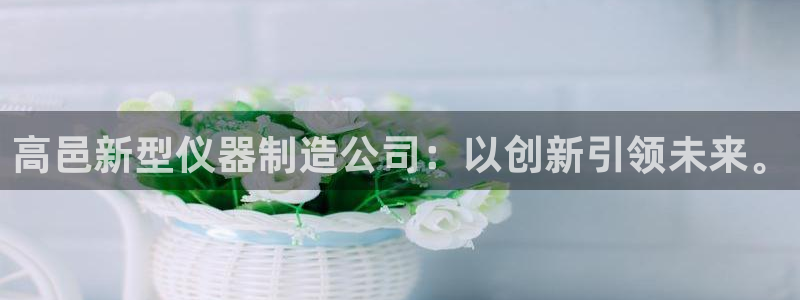 天宏3娱乐：高邑新型仪器制造公司：以创新引领未来。