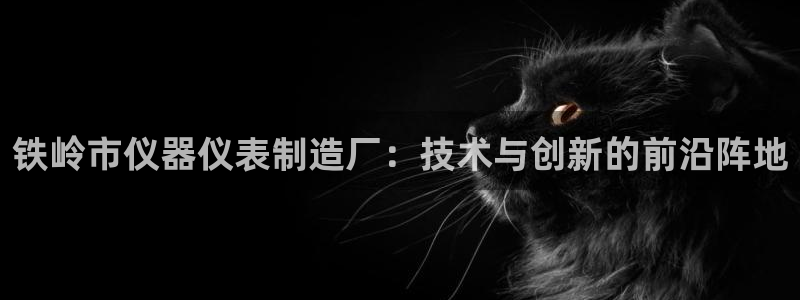 天宏娱乐i OO判官：铁岭市仪器仪表制造厂：技术与创新的前沿