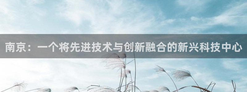 天宏娱乐大叔团队介绍：南京：一个将先进技术与创新融合的新兴科