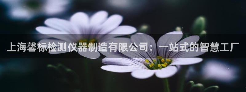 天宏娱乐主管待遇：上海馨标检测仪器制造有限公司：一站式的智慧