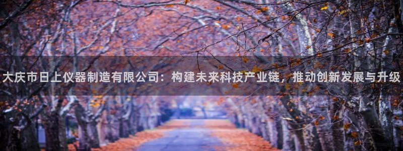 天宏娱乐老男孩董叔：大庆市日上仪器制造有限公司：构建未来科技