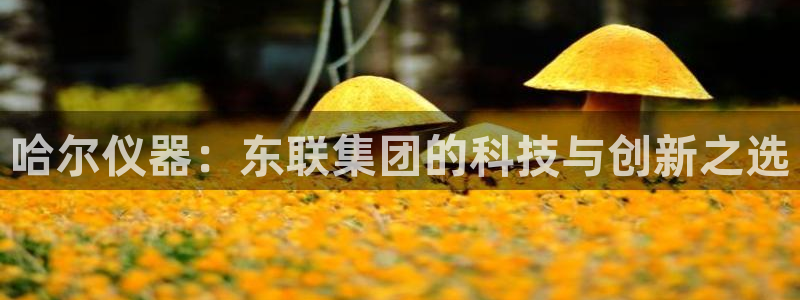 郑州天宏娱乐：哈尔仪器：东联集团的科技与创新之选