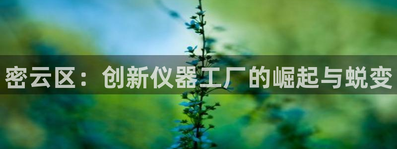 天宏娱乐董事长简介：密云区：创新仪器工厂的崛起与蜕变